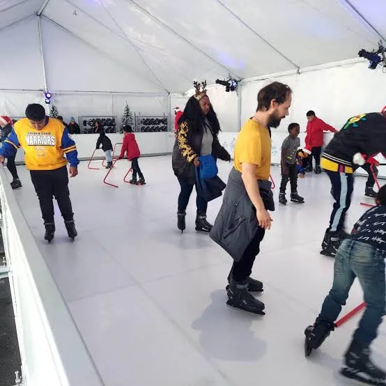 Applications of Synthetic Ice Rink - Commercial Entertainment Ice Rinks