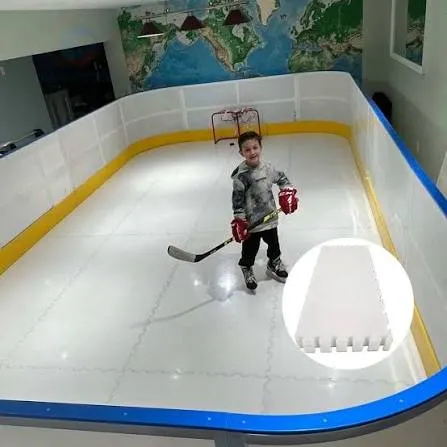 Applications of Synthetic Ice Rink - Home & Recreational Synthetic Ice Rink